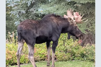 8807 N Timphaven Rd E, Sundance, UT 84604 - Photo 72