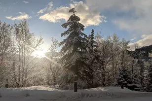 8807 N Timphaven Rd E, Sundance, UT 84604 - Photo 6