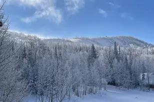 89 S E Steam Engine Dr, Brian Head, UT 84719 - Photo 20