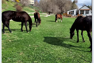 711 E 400 N, Springville, UT 84663 - Photo 32