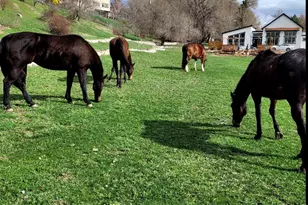 711 E 400 N, Springville, UT 84663 - Photo 32