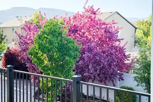 6946 W Ivie Farms Dr S, Herriman, UT 84096 - Photo 18