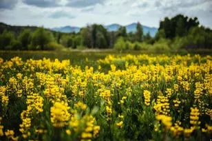 7394 E Moonlight Dr, Heber City, UT 84032 - Photo 44