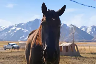 6770 W 400 S, Mendon, UT 84325 - Photo 110