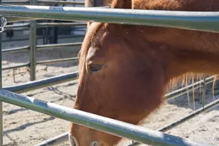 6770 W 400 S, Mendon, UT 84325 - Photo 122