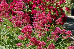 3984 S Luetta Dr, Millcreek, UT 84124 - Photo 46