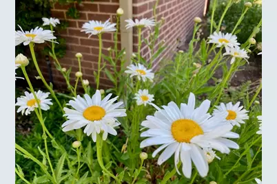 3984 S Luetta Dr, Millcreek, UT 84124 - Photo 48