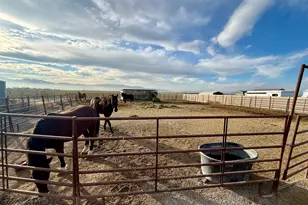 4319 Rose Springs Road Rd, Erda, UT 84074 - Photo 30