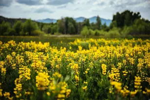 7465 E Stardust Ct, Heber City, UT 84032 - Photo 40