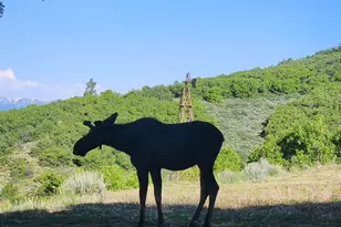 11360 Skyline Dr, Echo, UT 84024 - Photo 22