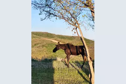 11360 Skyline Dr #170, Echo, UT 84024 - Photo 16