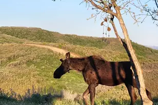 11360 Skyline Dr, Echo, UT 84024 - Photo 16