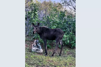 11360 Skyline Dr #170, Echo, UT 84024 - Photo 20