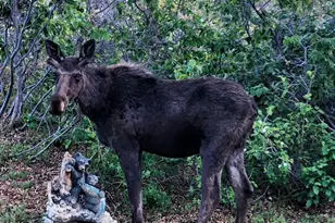 11360 Skyline Dr, Echo, UT 84024 - Photo 20