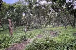 414 Juniper Ct, Wellsville, UT 84339 - Photo 20