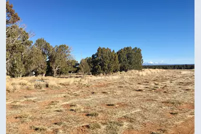 259 N Old Hwy, Monticello, UT 84535 - Photo 4