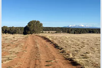 259 N Old Hwy, Monticello, UT 84535 - Photo 2