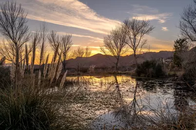 779 S Silver Rd, Leeds, UT 84746 - Photo 2