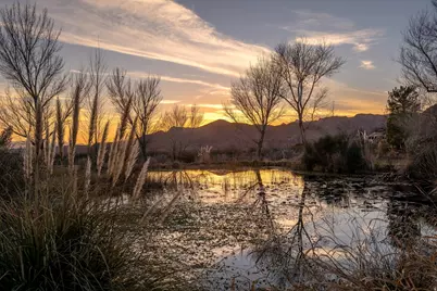 779 S Silver Rd, Leeds, UT 84746 - Photo 4