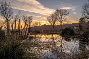 779 S Silver Rd, Leeds, UT 84746 - Photo 4