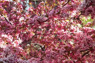 886 E Maple Crest Ct, Salt Lake City, UT 84106 - Photo 16