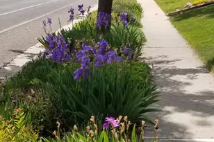 407 N 200 E, Kaysville, UT 84037 - Photo 22