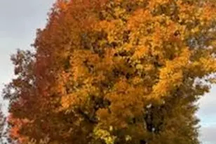 11493 S Marco Polo Ln, South Jordan, UT 84095 - Photo 64