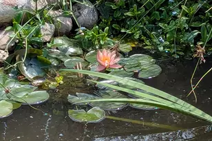 3935 S 7200 W, Magna, UT 84044 - Photo 36