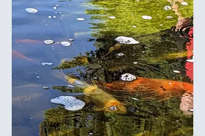 3935 S 7200 W, Magna, UT 84044 - Photo 30