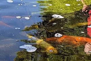 3935 S 7200 W, Magna, UT 84044 - Photo 30