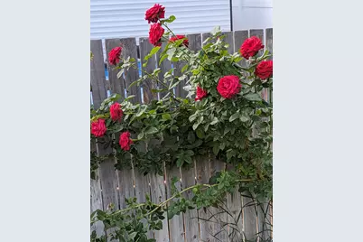 3935 S 7200 W, Magna, UT 84044 - Photo 32