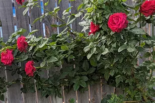 3935 S 7200 W, Magna, UT 84044 - Photo 32