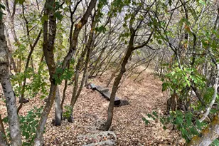 553 W Raspberry Patch Rd, Garden City, UT 84028 - Photo 4