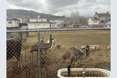 127 S 400 E, Lindon, UT 84042 - Photo 2