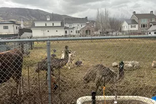 127 S 400 E, Lindon, UT 84042 - Photo 2