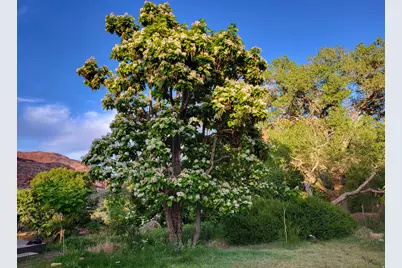 1389 E Powerhouse Ln S, Moab, UT 84532 - Photo 8