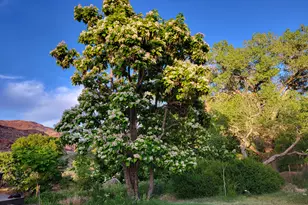 1389 E Powerhouse Ln S, Moab, UT 84532 - Photo 8
