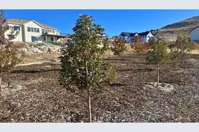 6693 N Unity Way, Eagle Mountain, UT 84005 - Photo 94