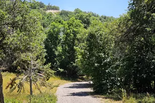 31 Juniper Dr, Fairview, UT 84629 - Photo 34