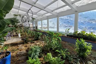 899 E 1190 N, Pleasant Grove, UT 84062 - Photo 52