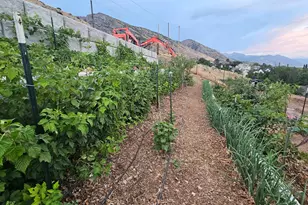 899 E 1190 N, Pleasant Grove, UT 84062 - Photo 50