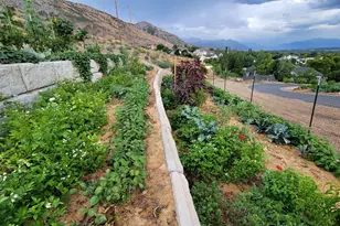 899 E 1190 N, Pleasant Grove, UT 84062 - Photo 54