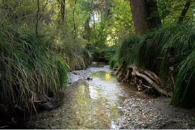 1476 E Kayscreek Dr, Layton, UT 84040 - Photo 36