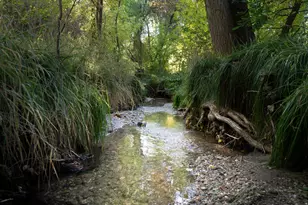 1476 E Kayscreek Dr, Layton, UT 84040 - Photo 36