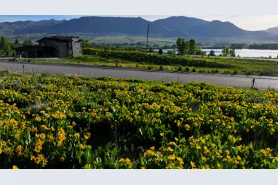 1147 N Eden View Ln #38, Eden, UT 84310 - Photo 10