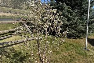 25645 N Frontage Rd, Portage, UT 84331 - Photo 36