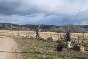 4934 N Tabby Ln Ln W, Tabiona, UT 84072 - Photo 20