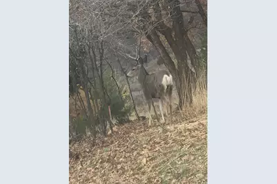 131 S Meadow Dr E #20, Springville, UT 84663 - Photo 26