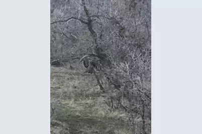 131 S Meadow Dr E #20, Springville, UT 84663 - Photo 20