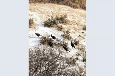 169 S Meadow Dr, Springville, UT 84663 - Photo 14